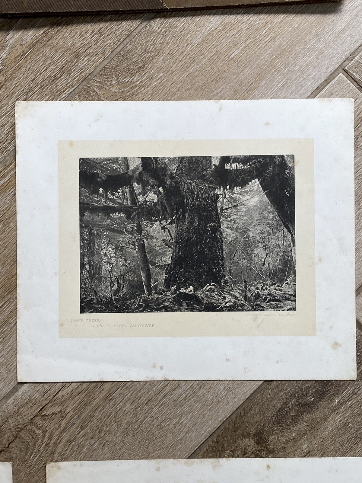 Antique Glimpses Along Canadian Pacific Railway Mountain Banff Railwayana Skiing