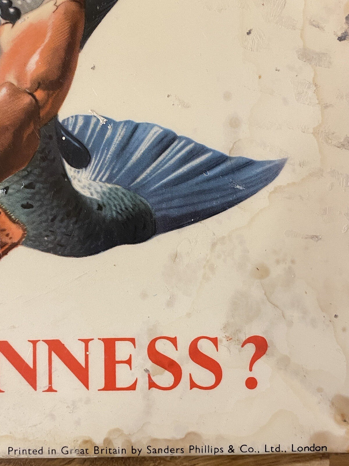 Original My Goodness Where’s The Guinness?Advertising Sign Celluloid Gilroy