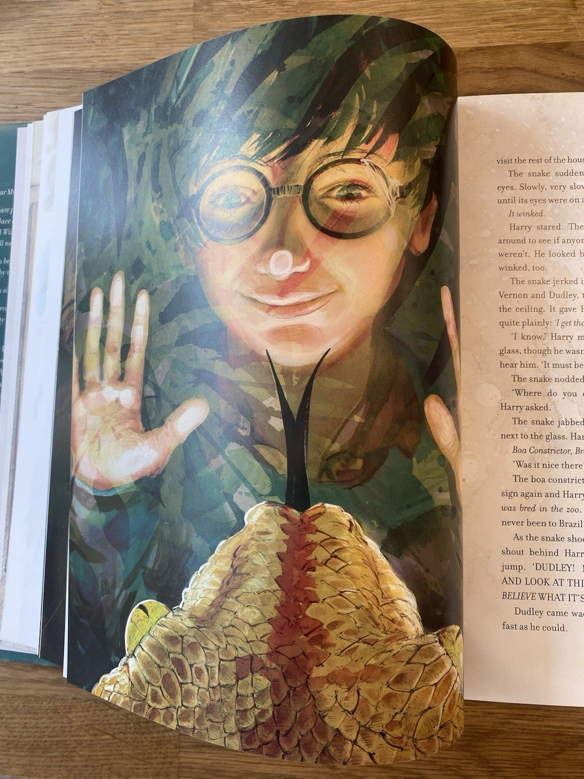 Harry Potter Philosopher's Stone 1st Edition J K Rowling Jim Kay 9781408845646