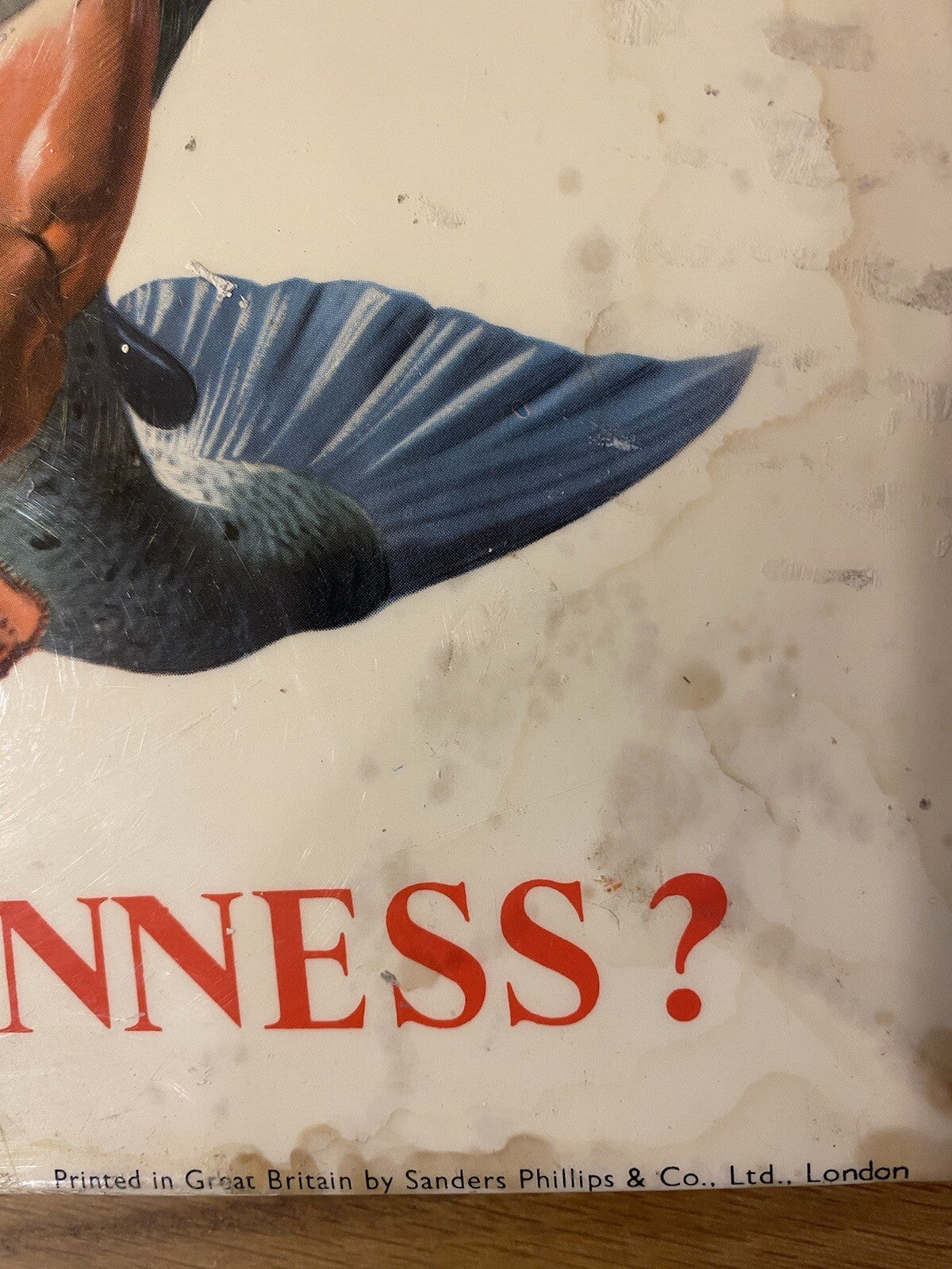 Original My Goodness Where’s The Guinness?Advertising Sign Celluloid Gilroy