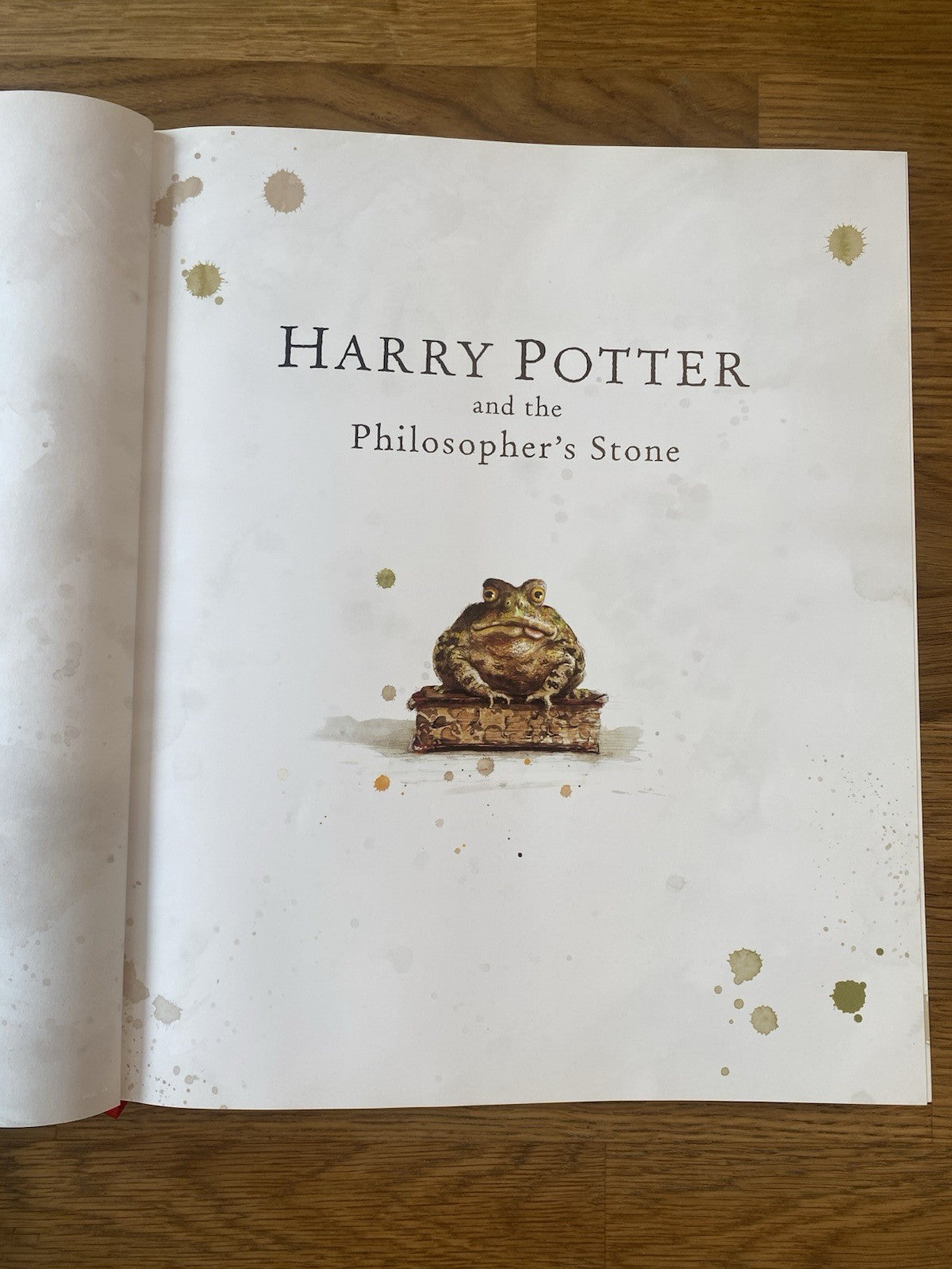 Harry Potter Philosopher's Stone 1st Edition J K Rowling Jim Kay 9781408845646