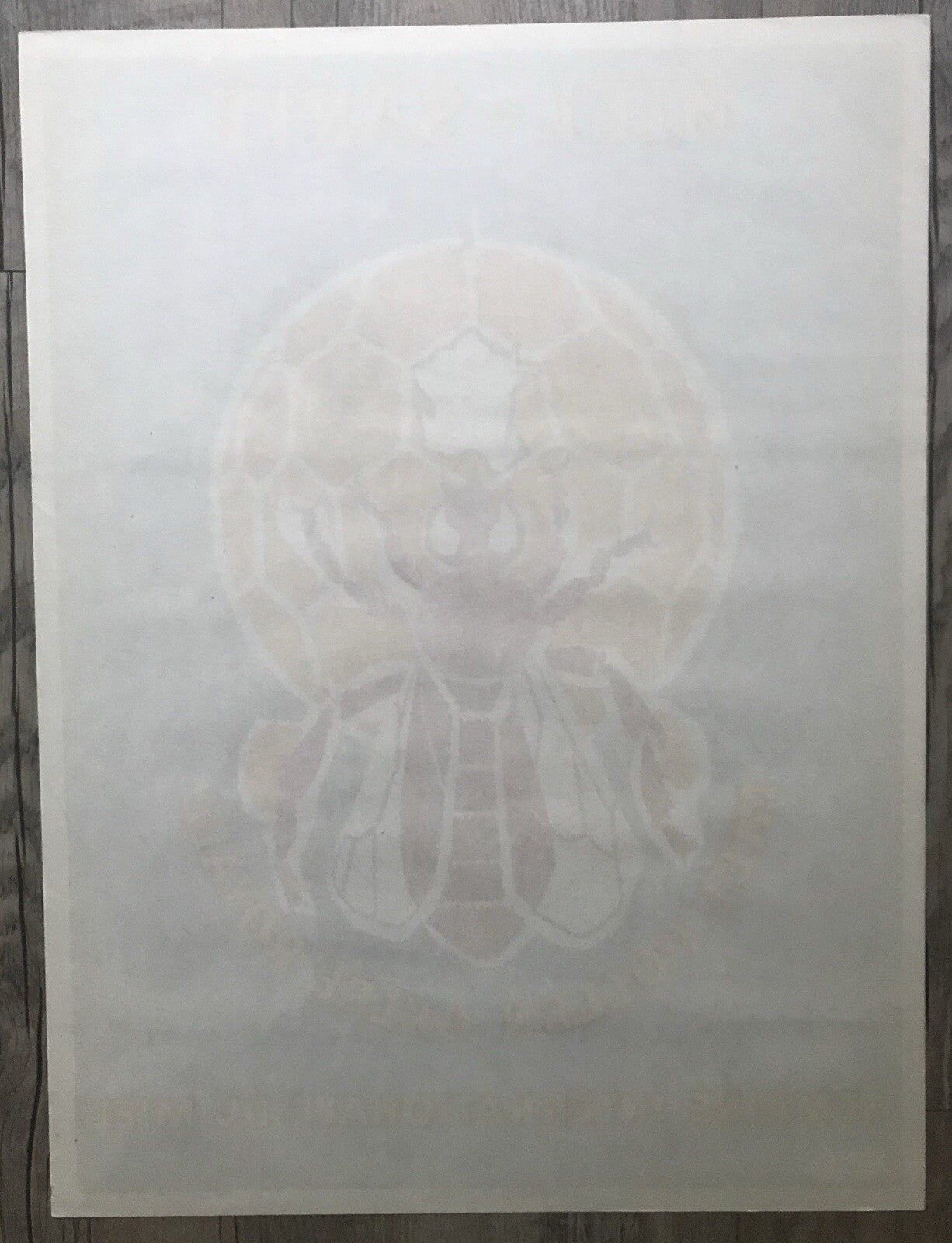 Original Vintage Miel Sante Honey Bee 1950’s Lithograph Advertising Poster