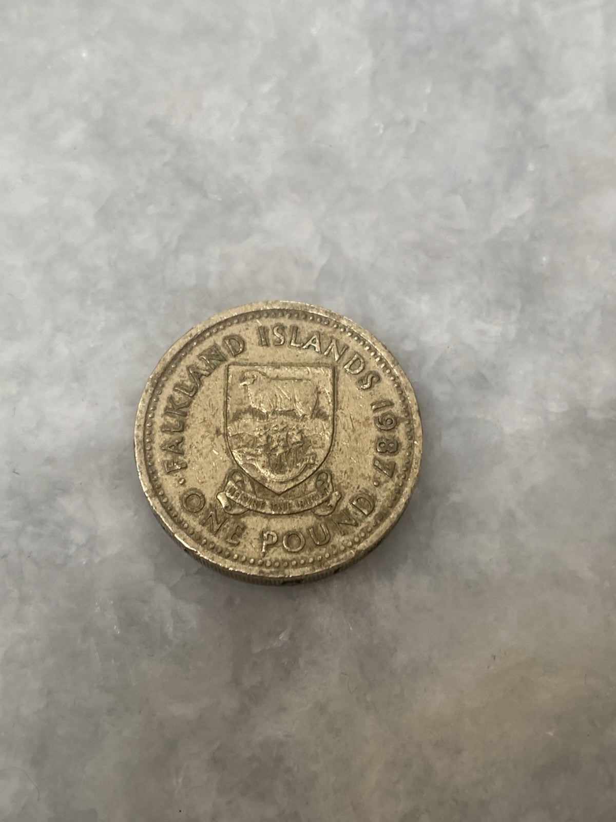 Rare Vintage 1987 Falkland Islands £1 One Pound Coin War Queen Elizabeth Money