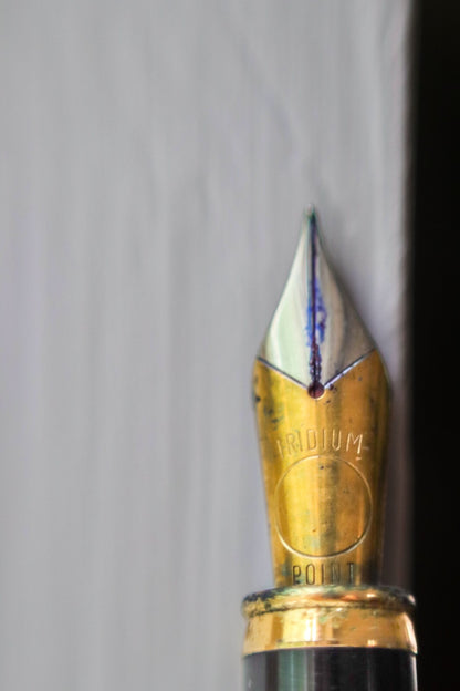 Vintage Cesare Emiliano Italian Collectible Fountain Pen Stylo Fullfederhalter