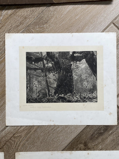 Antique Glimpses Along Canadian Pacific Railway Mountain Banff Railwayana Skiing