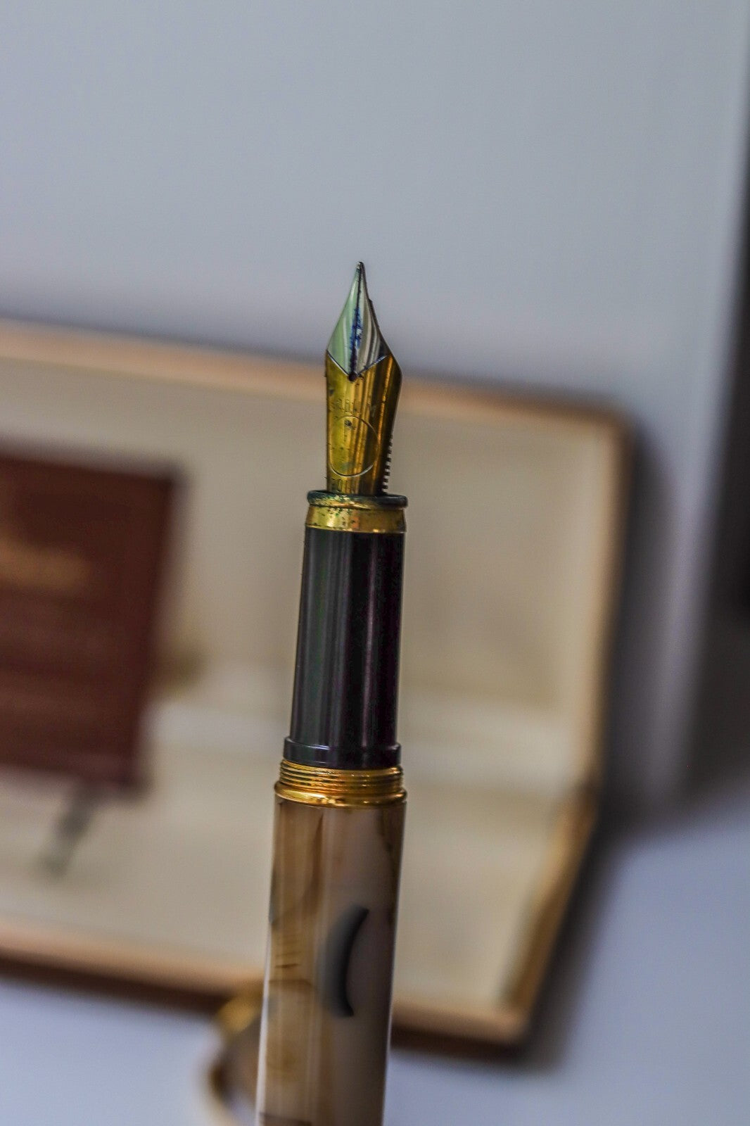 Vintage Cesare Emiliano Italian Collectible Fountain Pen Stylo Fullfederhalter